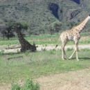 Namibia 02.2012. 143